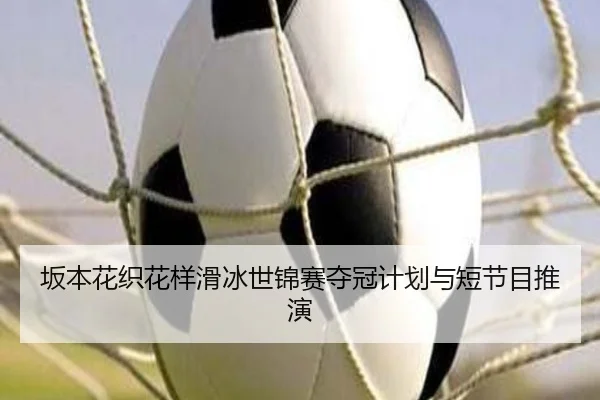 ban-ben-hua-zhi-hua-yang-hua-bing-shi-jin-sai-duo-guan-ji-hua-yu-duan-jie-mu-tui-yan-2-141.jpg